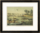 Buy Animals and Plants of the Jurassic Era in Europe at AllPosters.com