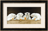 Buy Polar Beers at AllPosters.com