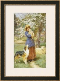 Lambing Time