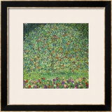 Apple Tree, 1912