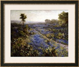 Buy Field of Texas Bluebonnets and Prickly Pear Cacti at AllPosters.com