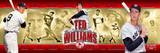 Ted Williams