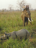 Buy Tourists on Elephant Back Sighting Rhino, Chitwan National Park, Nepal at AllPosters.com