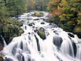 Buy Swallow Falls, Betws-Y-Coed, Gwynedd, Wales at AllPosters.com