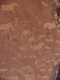 Rock Engravings, Twyfelfontein, Namibia, Africa