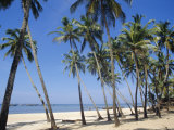 Buy Palm Fringed Beach, Goa, India at AllPosters.com