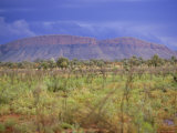 Buy Landscape Around Paunya, Northern Territory, Australia at AllPosters.com