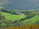 Buy Countryside Near Bovey Tracey, Devon, England, UK at AllPosters.com
