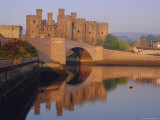 Buy Conwy Castle, Gwynedd, North Wales, UK at AllPosters.com