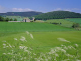 Buy Kildrummy, the Grampians, Scotland, UK, Europe at AllPosters.com