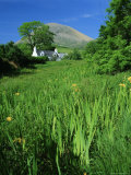 Buy Cottage and Red Cuillins at Torrin, Cuillin Hills, Isle of Skye, Highlands Region, Scotland, UK at AllPosters.com