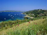 Buy Cap St. Pierre and Baie Des Gonebiers, Cote d'Azur, Provence, France, Europe at AllPosters.com