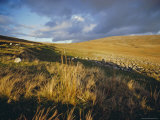 Buy West Brewns, Black Mountains, Dyfed, Wales, UK, Europe at AllPosters.com