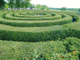 Buy Maze at Longleat House, England, UK at AllPosters.com