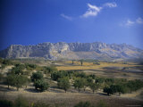 Buy Torcal De Antequera Natural Park (El Torcal National Park), Andalucia (Andalusia), Spain, Europe at AllPosters.com
