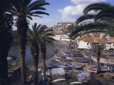 Camara De Lobos, Madeira, Portugal, Europe