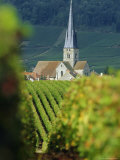 Chamery, Montagne De Reims, Champagne, France, Europe