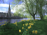 Buy City in Spring, Perth, Perthshire, Tayside, Scotland, UK, Europe at AllPosters.com