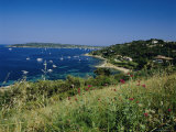 Buy Cap St. Pierre and Baie Des Canebiers, Cote d'Azur, Mediterranean Coast, Provence, France, Europe at AllPosters.com