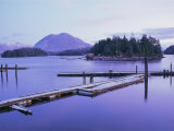 Buy Tofino, Vancouver Island, British Columbia (B.C.), Canada, North America at AllPosters.com