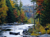 White Mountains National Forest, Near Jackson, New Hampshire, USA