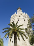 Torre Del Oro, El Arenal District, Seville, Andalusia (Andalucia), Spain, Europe
