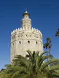Torre Del Oro, El Arenal District, Seville, Andalusia (Andalucia), Spain, Europe