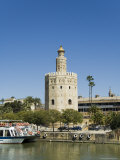 Torre Del Oro, El Arenal District, Seville, Andalusia (Andalucia), Spain, Europe