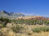 Buy Red Rock Canyon, Spring Mountains, 15 Miles West of Las Vegas in the Mojave Desert, Nevada, USA at AllPosters.com