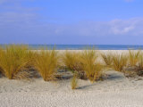 Buy St. Pete's Beach, Florida, USA at AllPosters.com