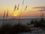 Sunset, Gulf Coast, Longboat Key, Anna Maria Island, Beach, Florida, USA