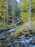 Moss Glen Falls, Green Mountain National Forest, Vermont, USA