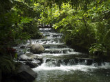 Tabacon Hot Springs, Volcanic Hot Springs Fed from the Arenal Volcano, Arenal, Costa Rica