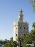 Torre Del Oro, El Arenal District, Seville, Andalusia (Andalucia), Spain, Europe