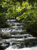 Buy Tabacon Hot Springs, Volcanic Hot Springs Fed from the Arenal Volcano, Arenal, Costa Rica at AllPosters.com