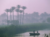 River Nile Near Memphis, Egypt, North Africa