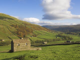 Buy Stone Barns in Swaledale, Near Keld, Yorkshire Dales National Park, Yorkshire, England, UK at AllPosters.com
