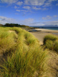 Buy Dunes and Grasses, Mellon Udrigle, Wester Ross, Highlands Region, Scotland, UK, Europe at AllPosters.com