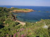 Buy Esterel Corniche Near St. Raphael, Cote d'Azur, Mediterranean Coast, Provence, France, Europe at AllPosters.com