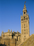 Buy Giralda Tower and Cathedral, Seville, Andalucia (Andalusia), Spain, Europe at AllPosters.com