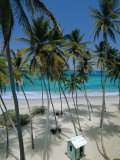 Bottom Bay Beach, East Coast, Barbados, Windward Islands, West Indies, Caribbean, Central America