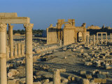 Palmyra, Ruins of Roman City, Syria, Middle East