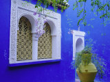 Buy Jardin Majorelle, Marrakech, Morocco at AllPosters.com
