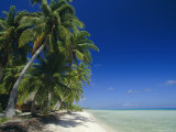 Buy Beach, Rangiroa Atoll, Tuamotu Archipelago, French Polynesia, South Pacific Islands, Pacific at AllPosters.com