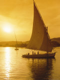 Feluccas Under Sail at Sunset on the Nile River, Egypt