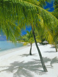 Buy Beach, Bora Bora (Borabora), Society Islands, French Polynesia, South Pacific Islands, Pacific at AllPosters.com