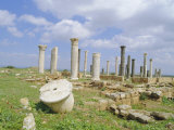 Buy Columns of the 7th/8th Century Byzantine Basilica at Ancient Abila, Jordan at AllPosters.com