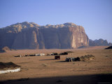 Buy Bedu (Bedouin) Tents at Abu Aineh, Wadi Rum, Jordan at AllPosters.com