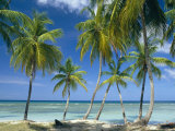 Tropical Landscape of Palm Trees at Pigeon Point on the Island of Tobago, Caribbean