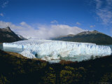 Perito Moreno Glacier, Has Almost Dammed the Tempano Channel, Patagonia, Argentina